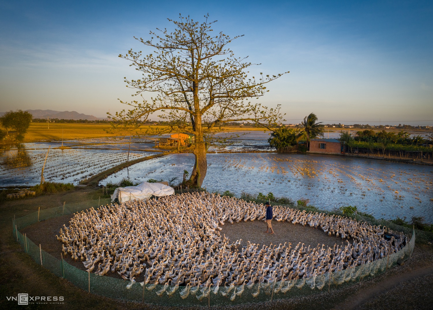 Vietnam's beauty comes to life through lens of Saigon photographer