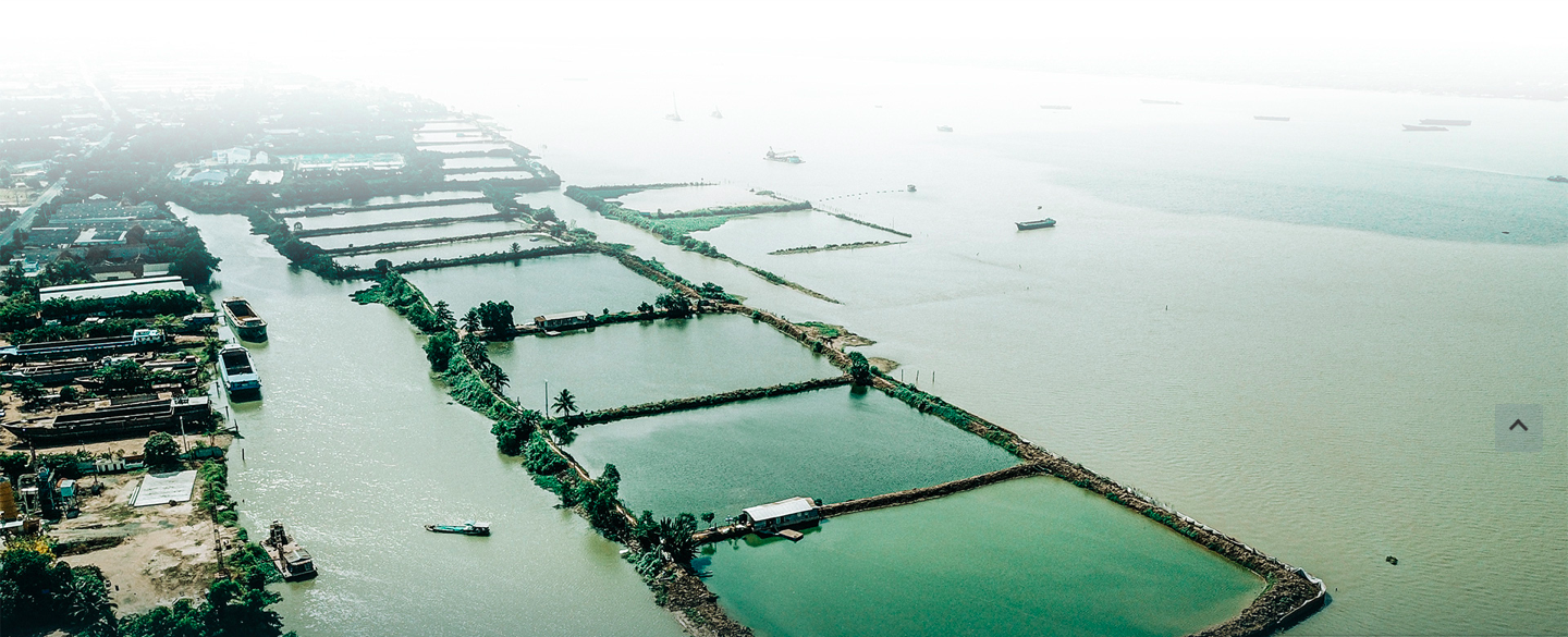 Рыбоводство баса на реке Хау. Фото: Chi Quoc/Tuoi Tre