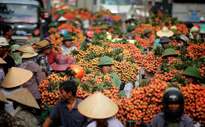 Рынок личи в Лук Нгане в сезоне урожая.