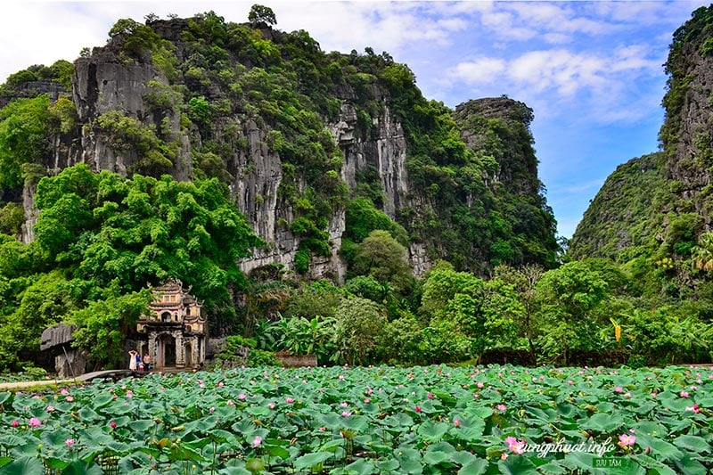 Пагода Бич Донг (Bích Động).