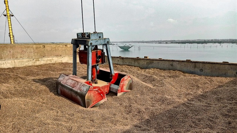 Экспорт древесных гранул из морского порта Чу Лай, провинция Куангнам, центральный Вьетнам. Фото: Thaco Group.