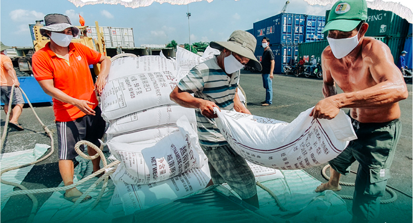 Контейнеры с рисом пристыковываются в провинции Ан Джанге в ожидании доставки вьетнамского риса в зарубежные страны. Фото: Chi Quoc/Tuoi Tre