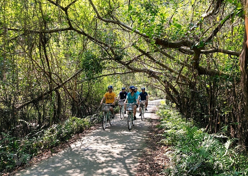 Посетители ездят на велосипеде под пологом леса, чтобы исследовать древнюю деревню Вьет Хай в районе острова Кат Хай. (Фото: Vietnamplus)