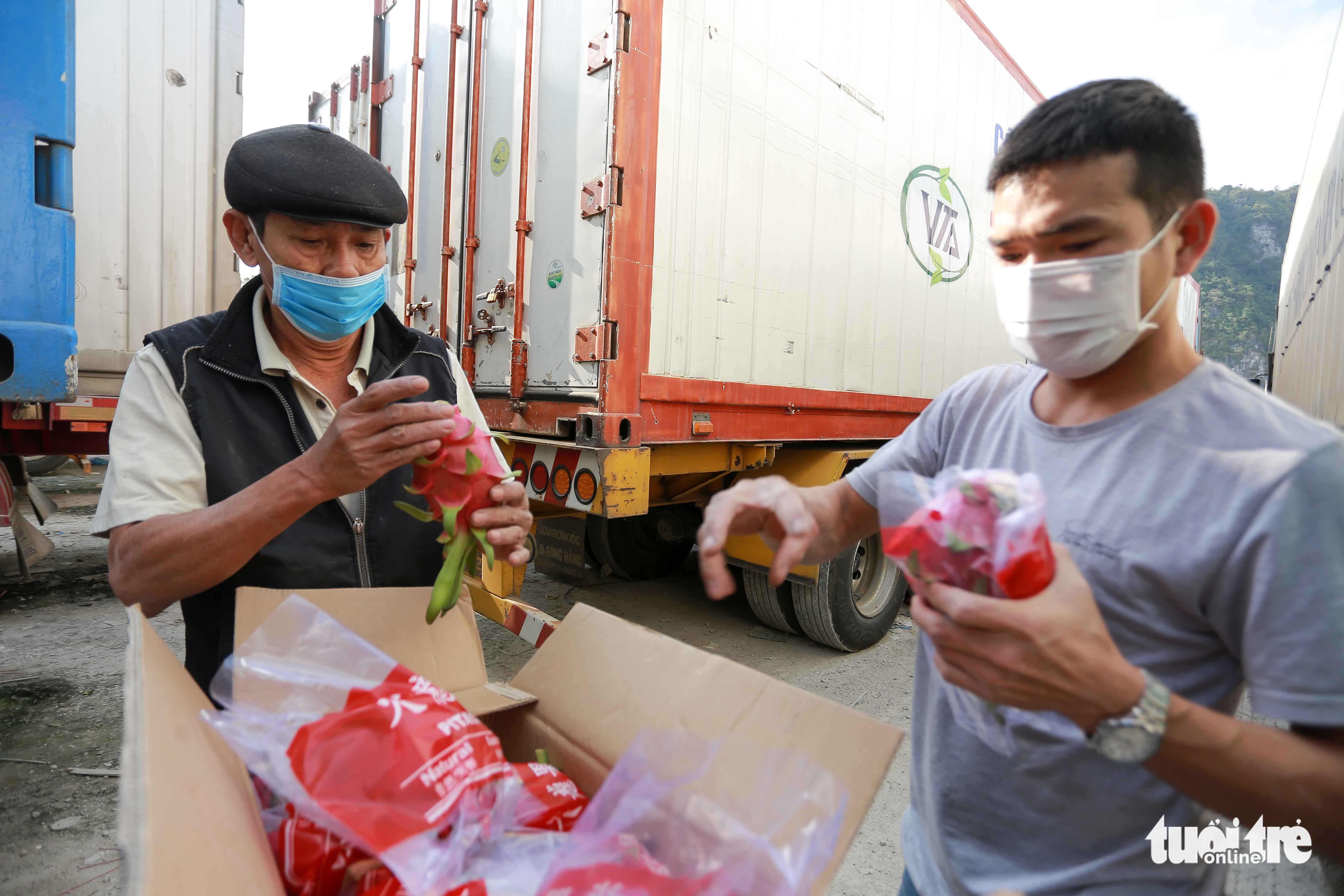Водители грузовиков проверяют качество драконовых фруктов на пограничном пункте Тантхань в провинции Лангшон, Вьетнам, 18 декабря 2021 года. Фото: Chi Tue / Tuoi Tre