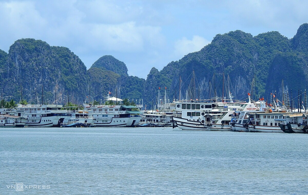 Сотни круизных судов в туристической точке Ха Лонг остаются на якоре из-за падения спроса на путешествия, июнь 2021 года. Фото: VnExpress/Minh Cuong