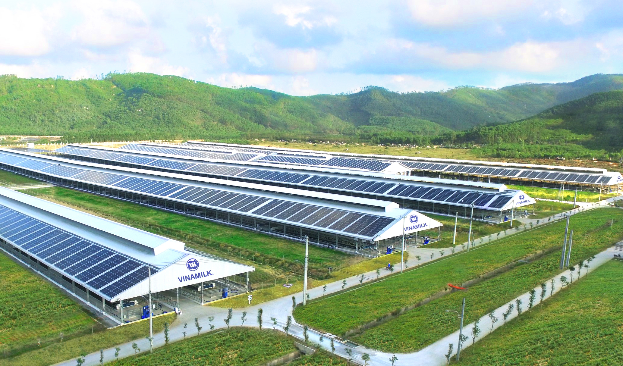 Ферма Винамилк Куанг Нгай завершила и введена в эксплуатацию солнечная энергетическая система.