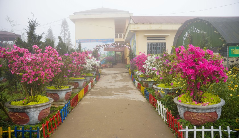 Цветы украшают тропинки, ведущие к школьным общежитиям