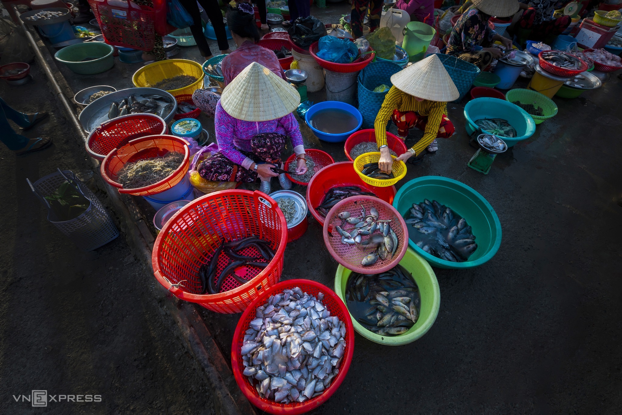Продавцы продают рыбу-змееголова, окуня, змеевидного гурами и другую рыбу на рынке Ви Тхань.