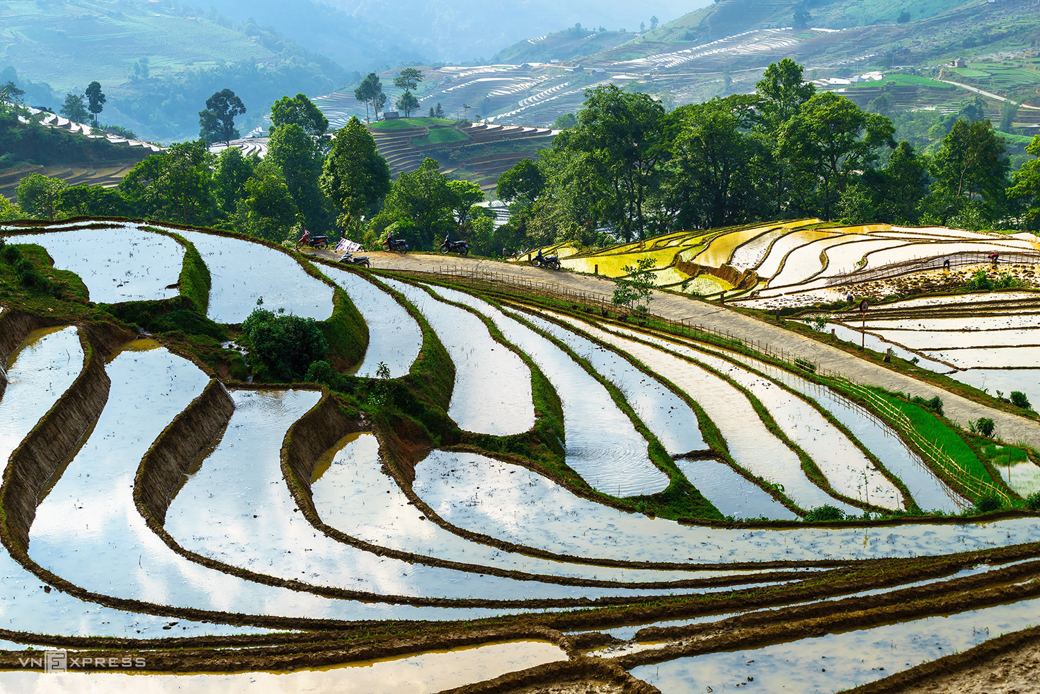 Заболоченные террасные рисовые поля в летний период являются туристической изюминкой северного горного региона.