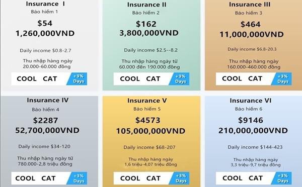 Шесть страховых инвестиционных пакетов, предлагаемых компанией Coolcat