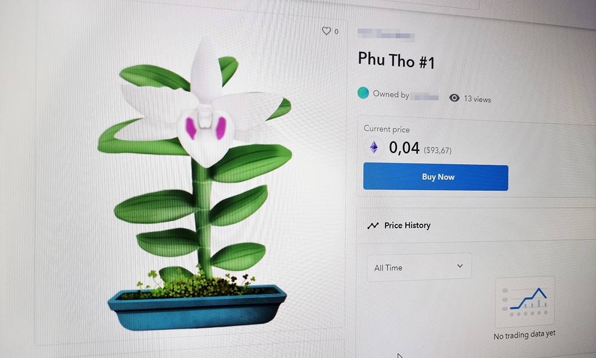 Цифровая версия растения орхидеи продаётся в Интернете. Фото: VnExpress/Luu Quy.