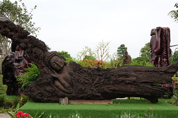 Лежащая статуя Будды, сделанная из дрейфующего дерева, выставлена в экотуристическом месте My Luong. Вес каждого произведения искусства может достигать пяти тонн. Фото любезно предоставлено Phan Van Khanh