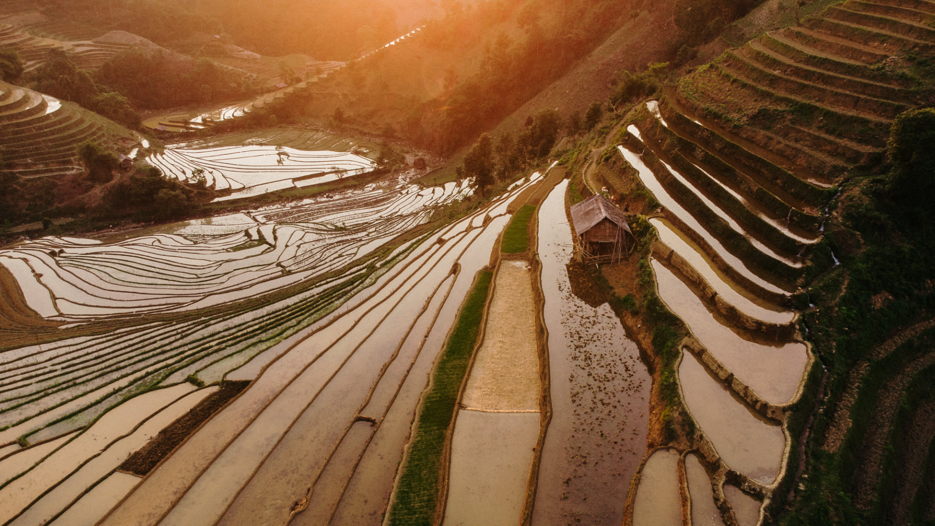 Террасные поля в Му Канг Чай. Фото: Иван Ос