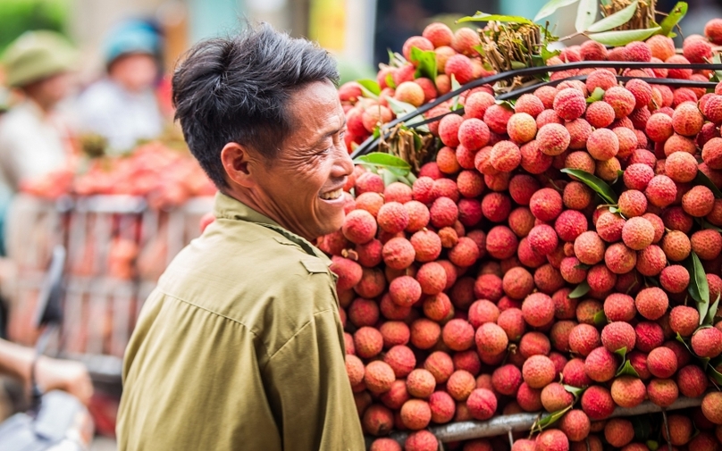 Личи входит в число фруктов, которые Вьетнам больше всего экспортирует в Китай. Фото: газета 