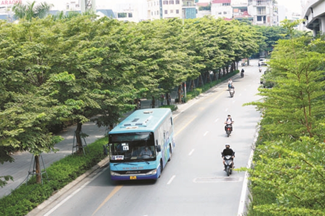 По обеим сторонам улицы Фам Ван Донг посажено множество деревьев. Фото: VNS