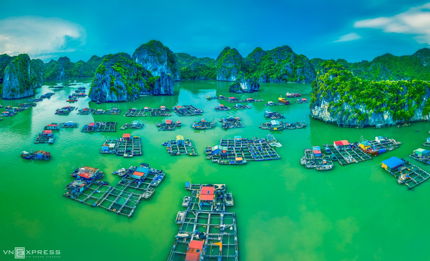 В рыбацкой деревне Кай Бео можно увидеть десятки домов, которые плавают на зеленой прозрачной воде. Фото: Pham Huy Trung