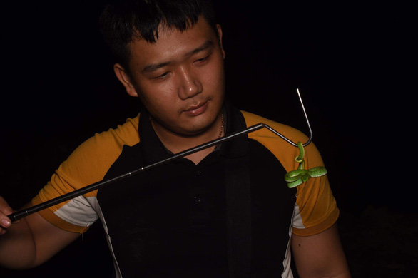 Нгуен Хюи Хоанг является одним из умелых членов группы спасения змей, управляемой Крейгом Райаном в провинции Куангнам. Вьетнам. Фото: H.D. / Tuoi Tre