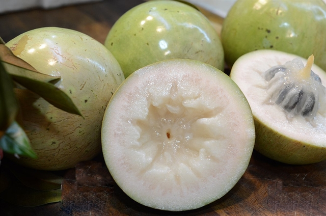 Звездчатое яблоко богато витаминами и минералами, которые очень полезны для здоровья. Фото mia.vn