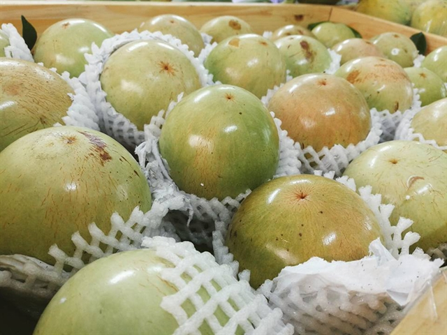 Звездные яблоки готовы к продаже. Фото mia.vn