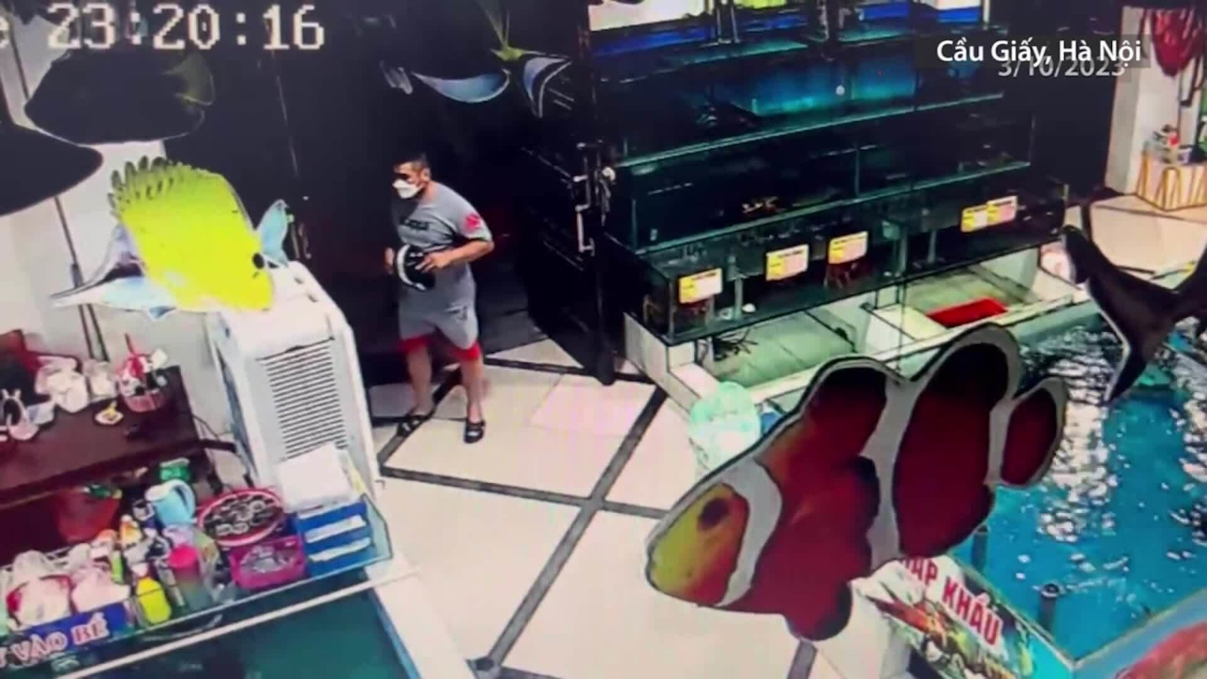 На кадрах, опубликованных камерой ресторана в районе Кау Джэй, Ханой, видно, как человек в маске крадет живого лобстера из аквариума 3 октября 2023 года.